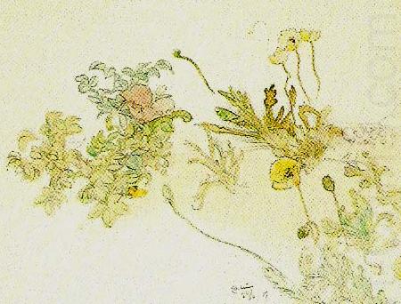 blommor- nyponros och backsippor, Carl Larsson